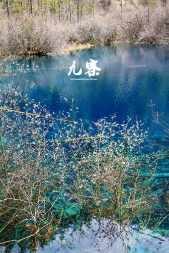 精灵灯塔逃生