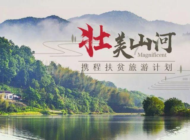 小猫钓鱼正版下载中文版