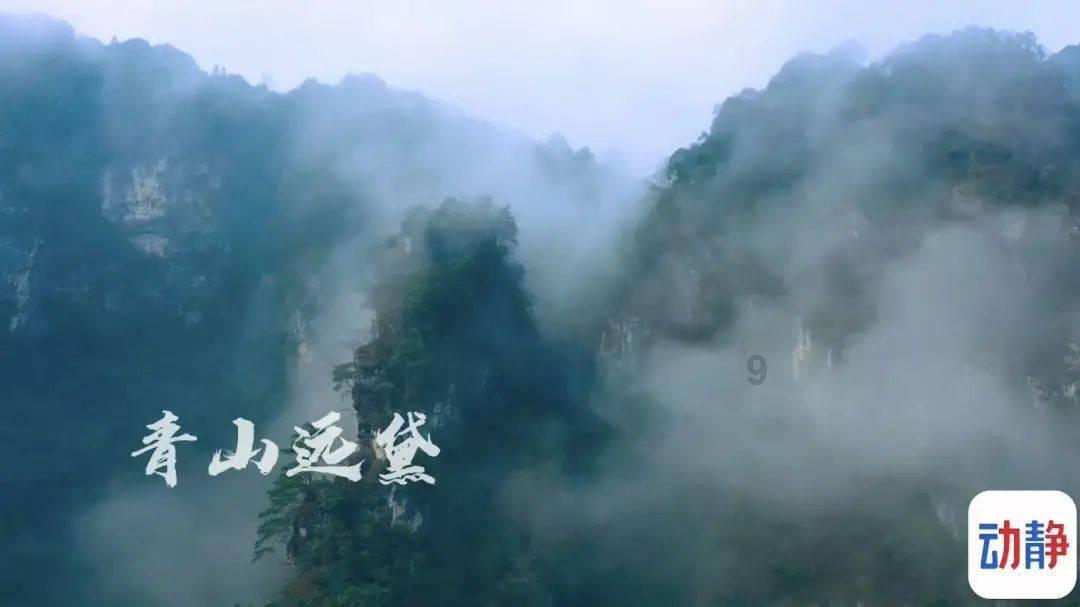 虫虫助手下载