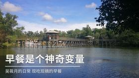 18岁应该学什么游戏画面