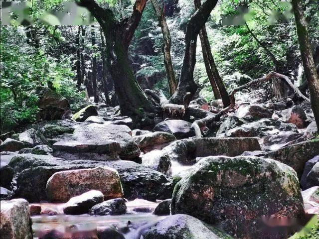 战锤：全面战争2
