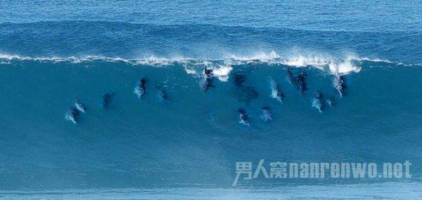 2023年度中国十大医学科技新闻揭晓 厦门大学两项成果入选