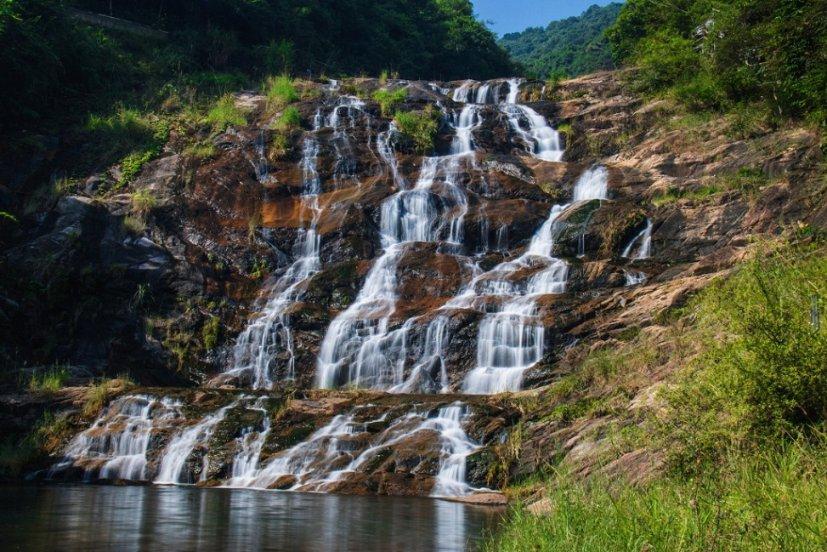 家里炖鸡肉怎么做才味道鲜美？游戏画面