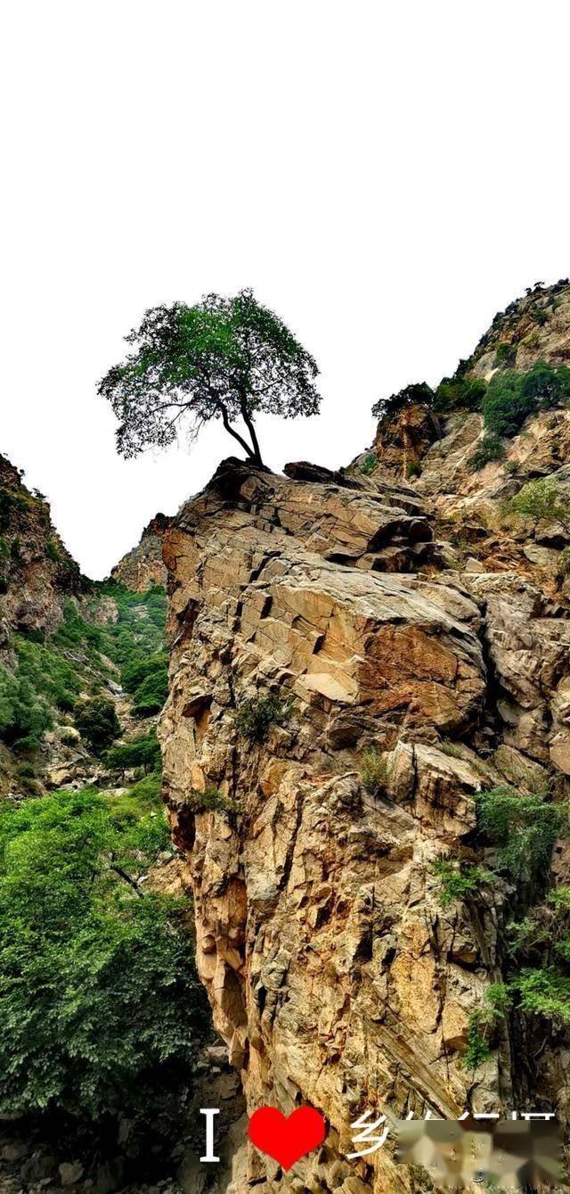 从南雄珠玑巷到鹤山：跨越七百多年的寻根谒祖