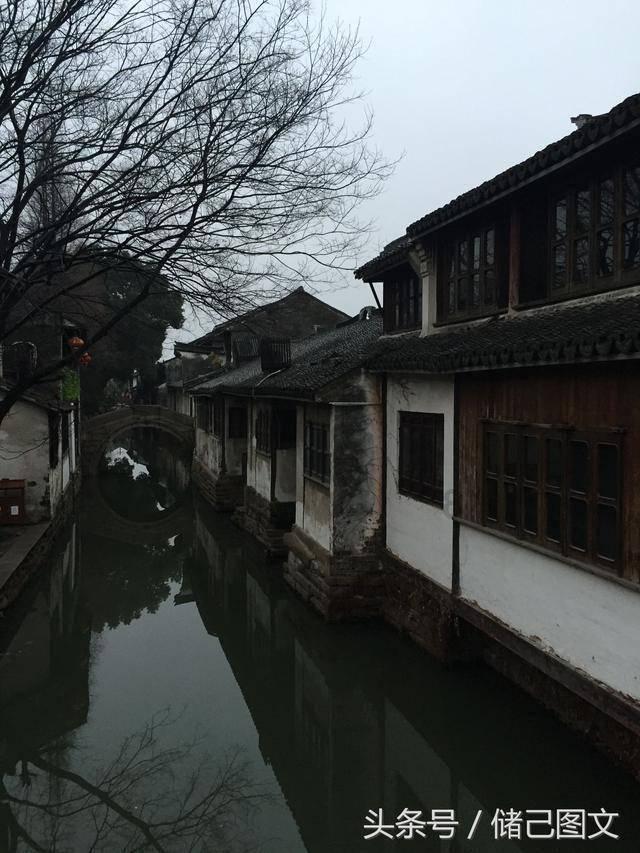家里炖鸡肉怎么做才味道鲜美？游戏画面