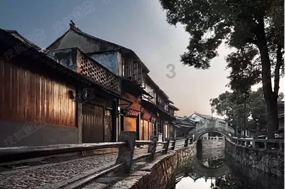 动物帮帮忙保卫家园